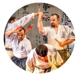 jujitsu-csen-daito-ryu-torregrossa-jujitsu